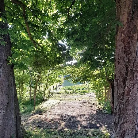 Ferienhaus Topagergaard Bredsten (Velje)