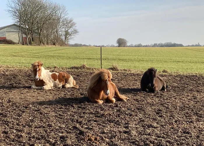 Topagergaard * Bredsten (Velje)