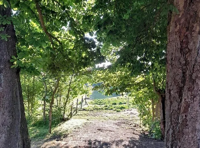 펜션 Topagergaard Bredsten (Velje)